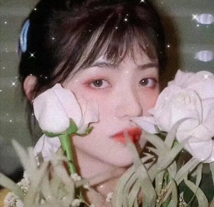 警花变色龙